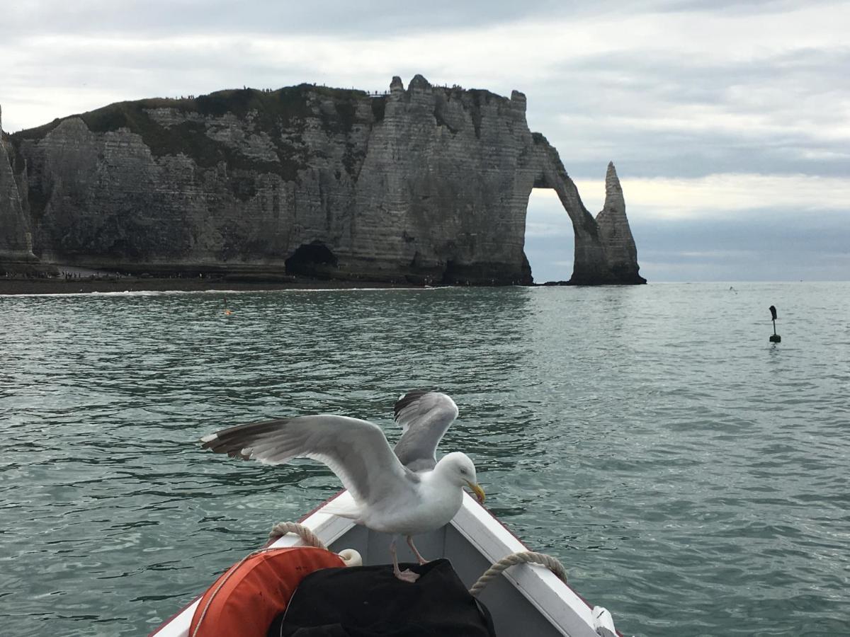 Chambre D'Hote Villa Maurice Étretat Kültér fotó